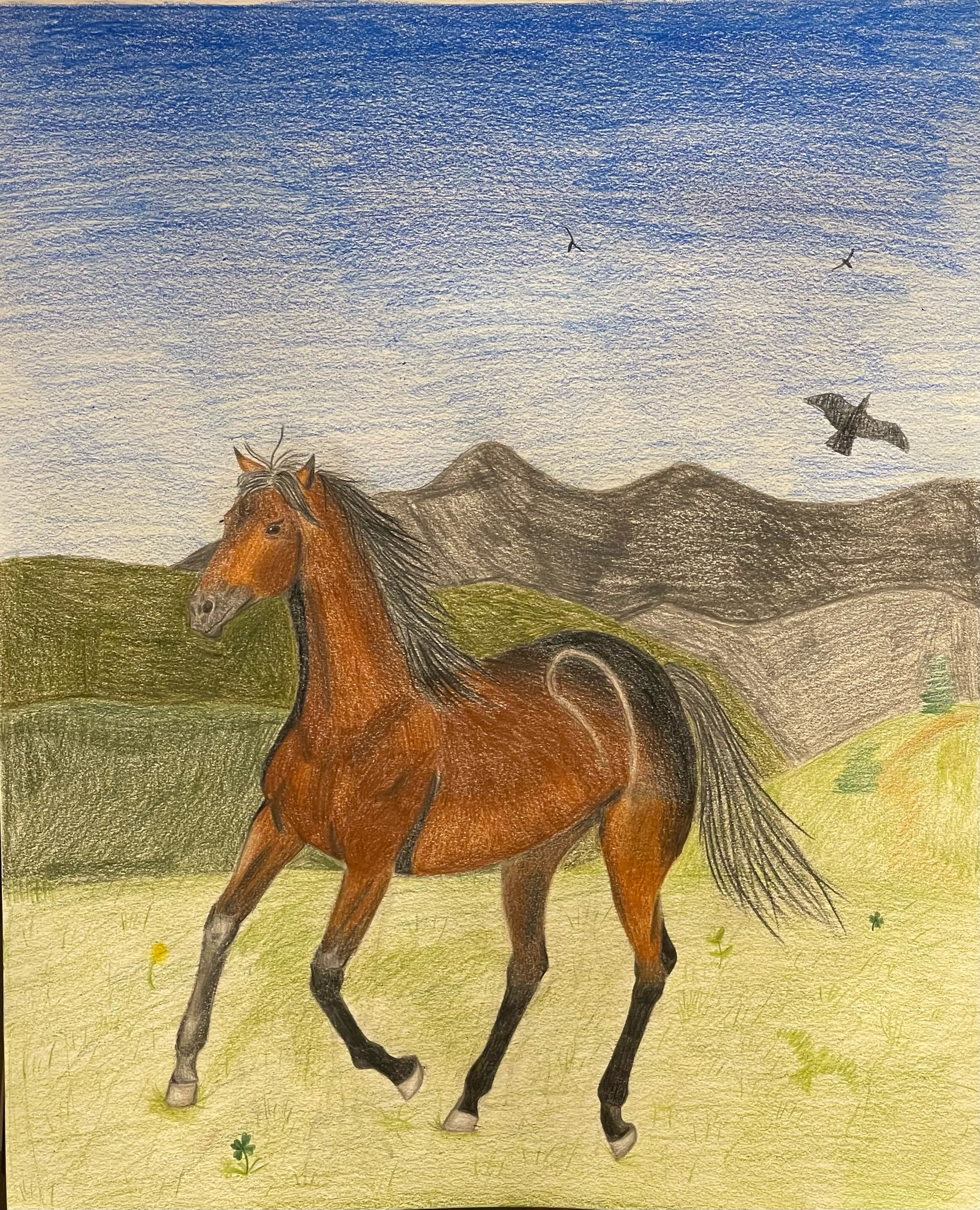 Amateur Group E: Ages 4–12